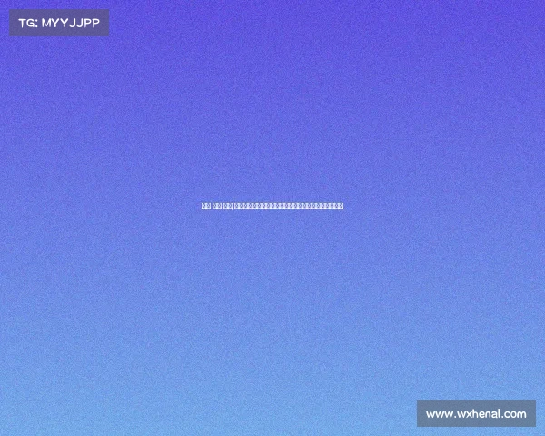 足球 赛事 编号;足球赛事编号在赛事管理中的核心作用与应用策略探讨